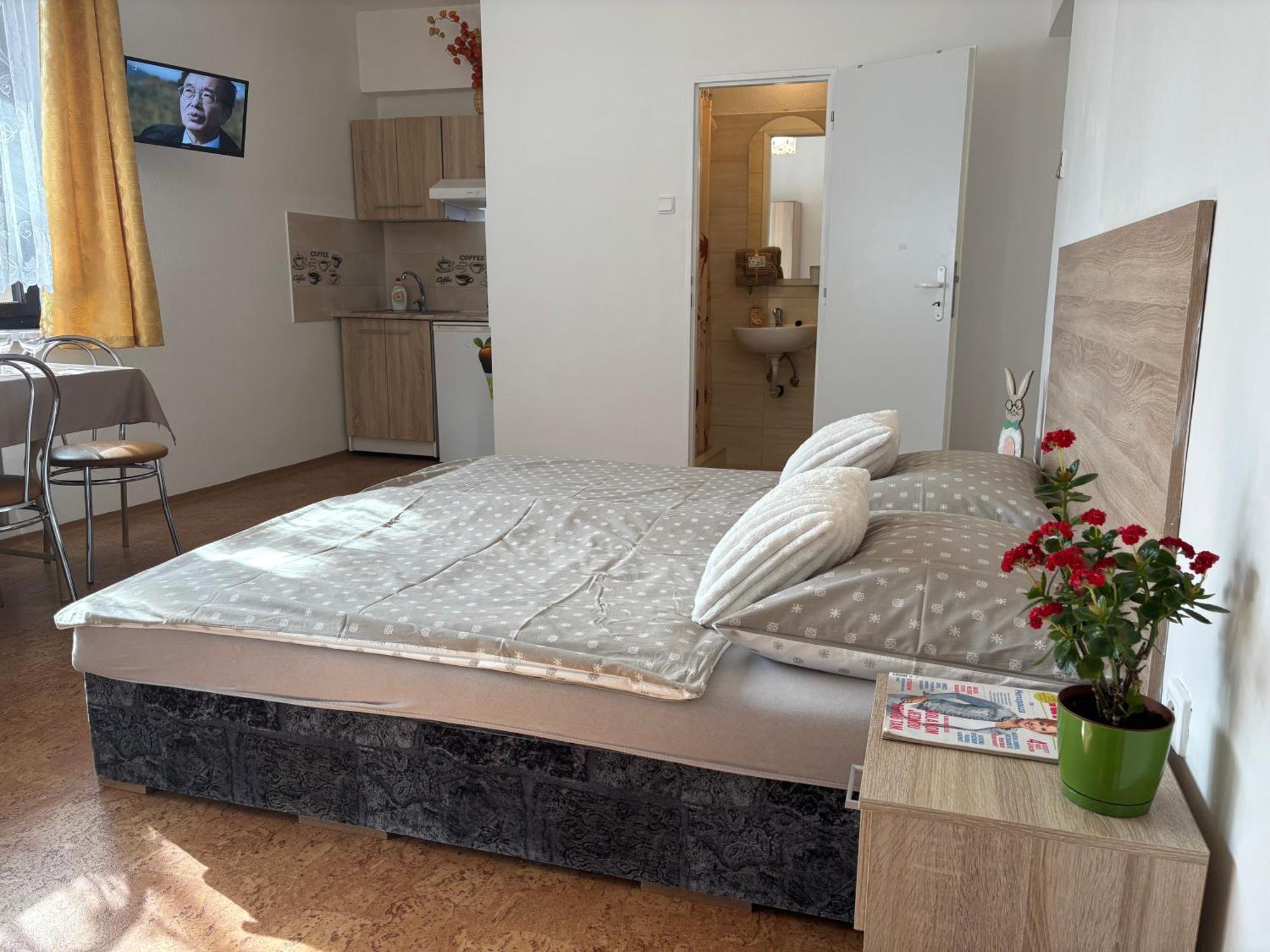 Apartmanovy Dom Grand Štúrovo エクステリア 写真